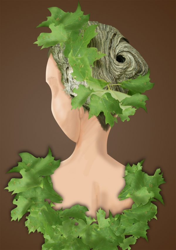 Creation of Forest Fashion: Step 3